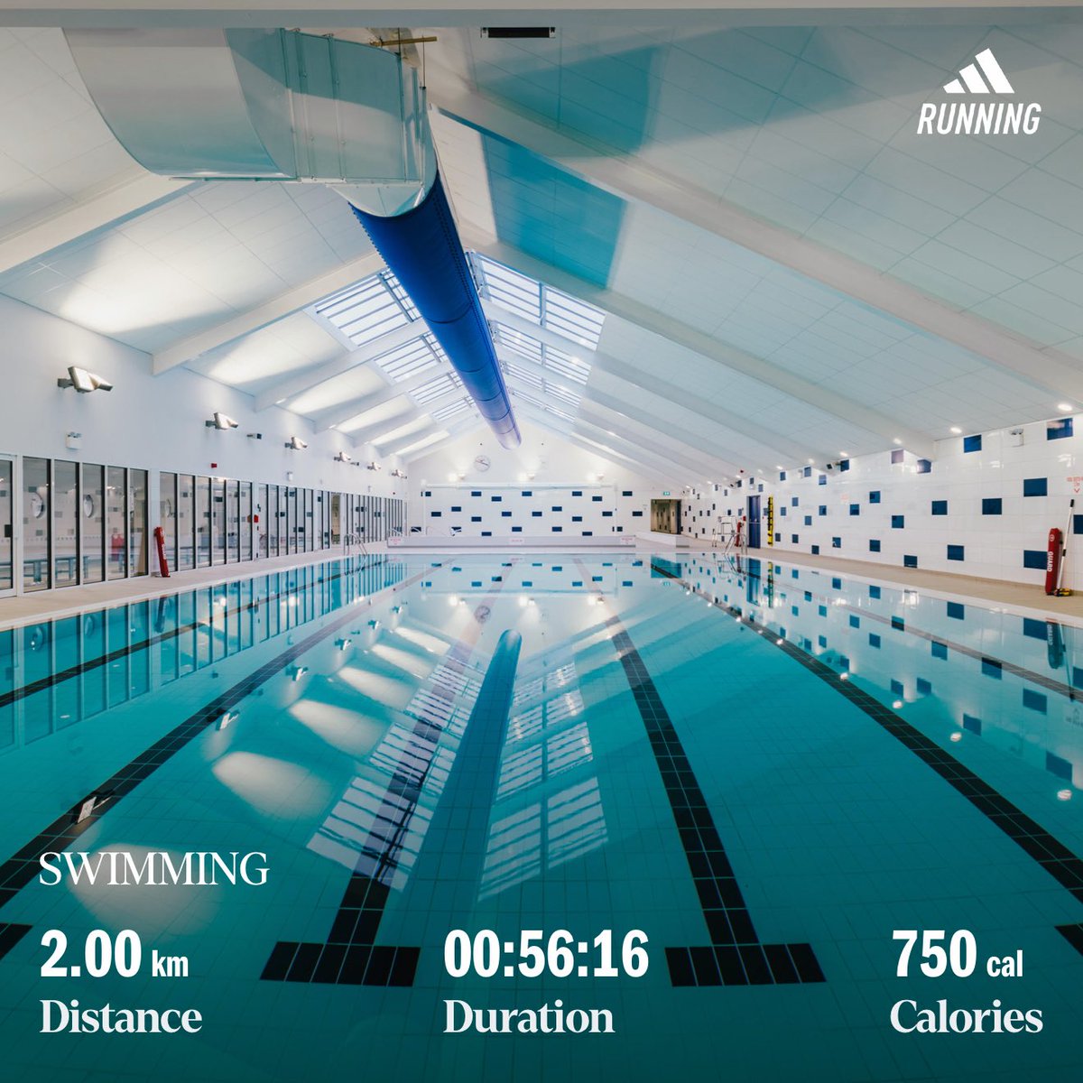 Mr_Max_Licari's tweet image. 20 butterfly stroke
20 front crawl
20 breaststroke 
20 backstroke 

Tot: 2000mt

#swimming