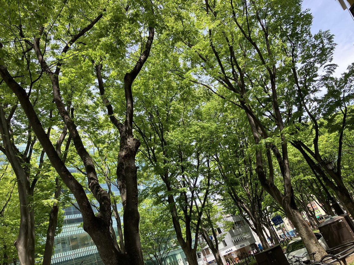 青春時代を過ごした場所でのんびりお散歩🌱