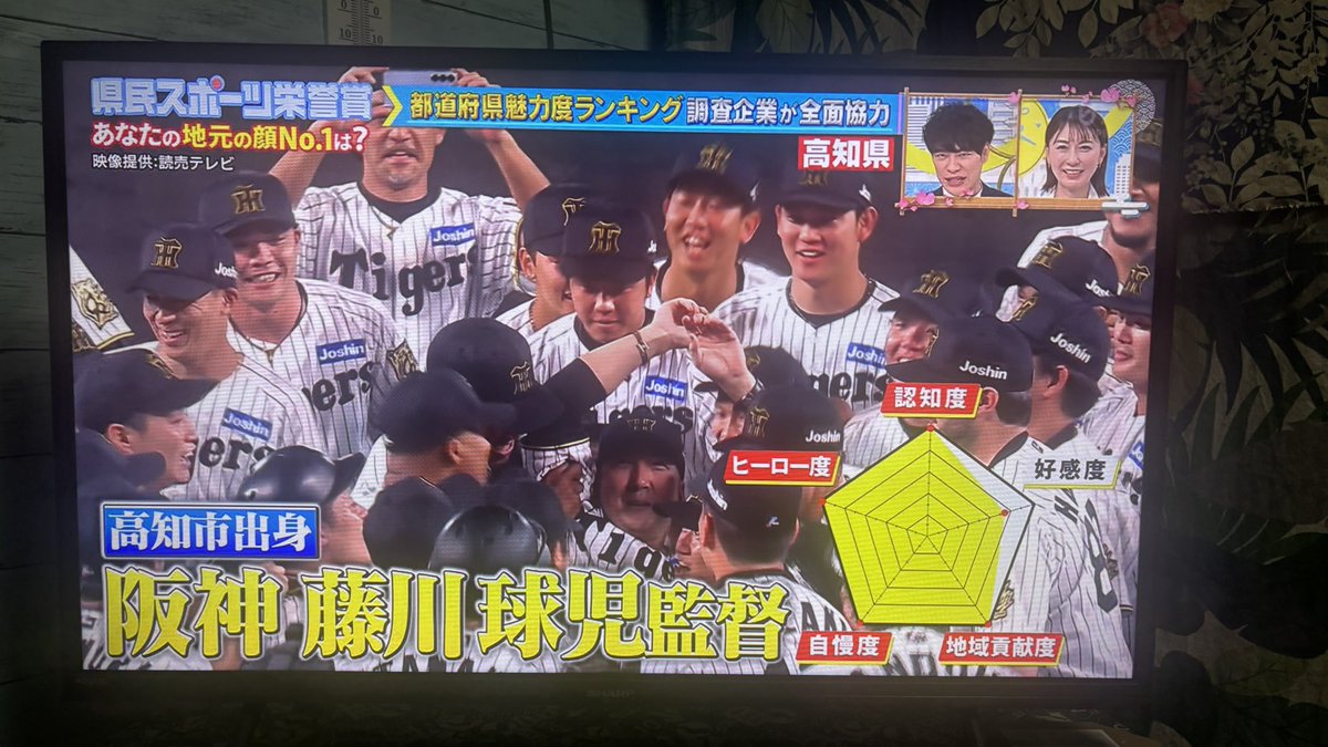 大地 tweet media