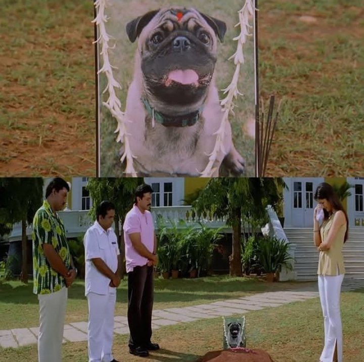 హకూన మాటాట tweet media
