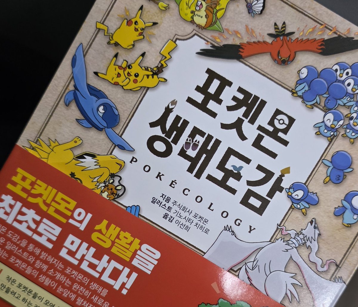 낭랑 tweet media