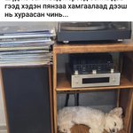 Photo by Хоёр хангай нутаг (@alexburnee)