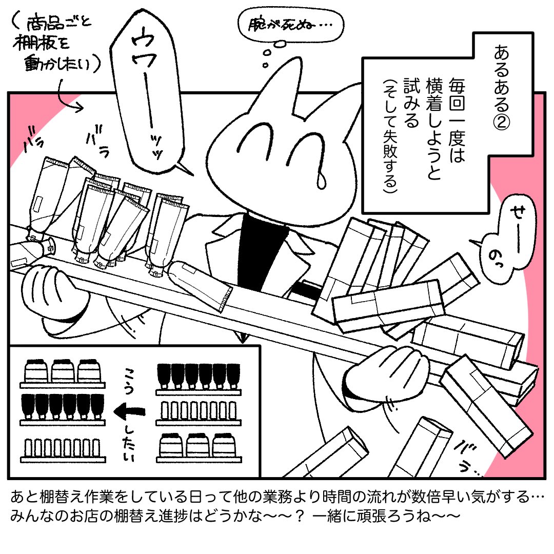 猫前 tweet media