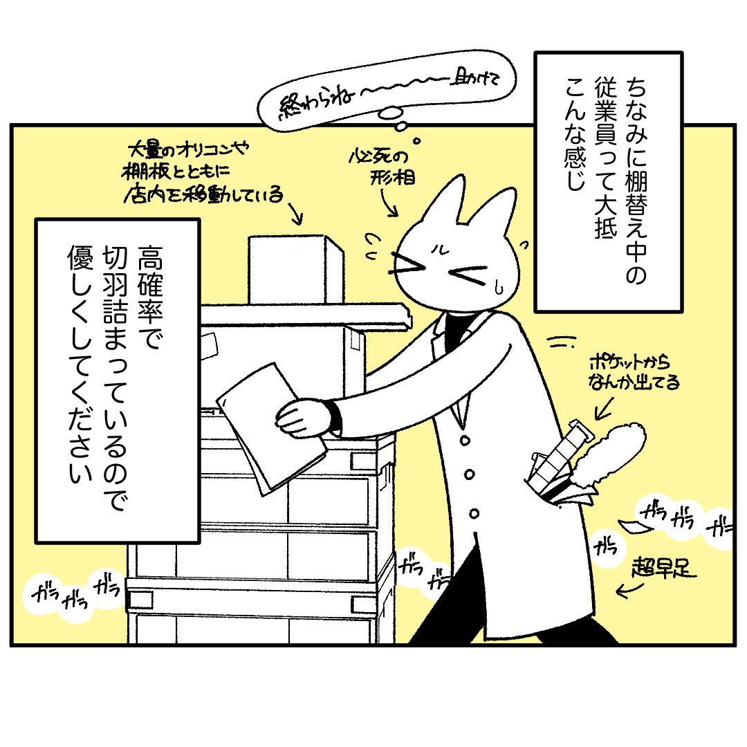 猫前 tweet media