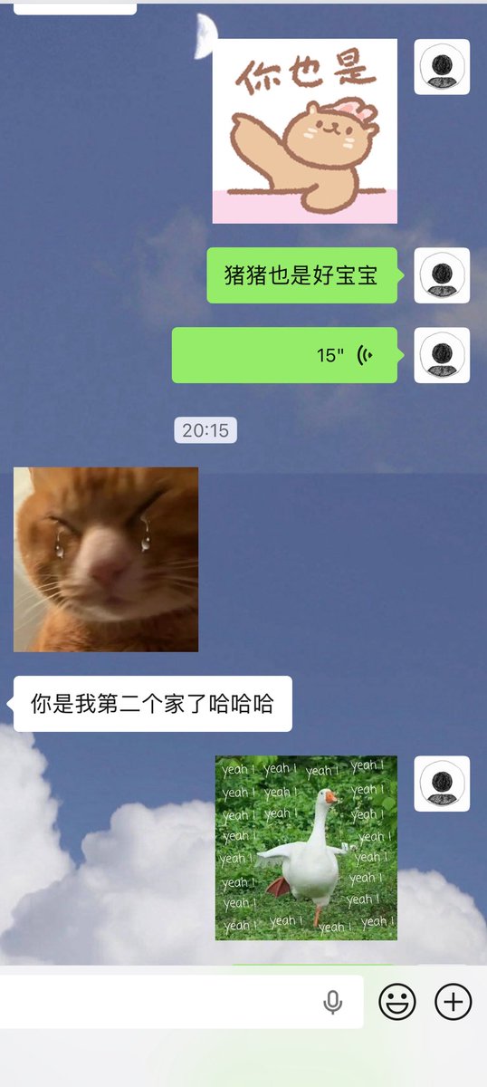carl choi tweet media