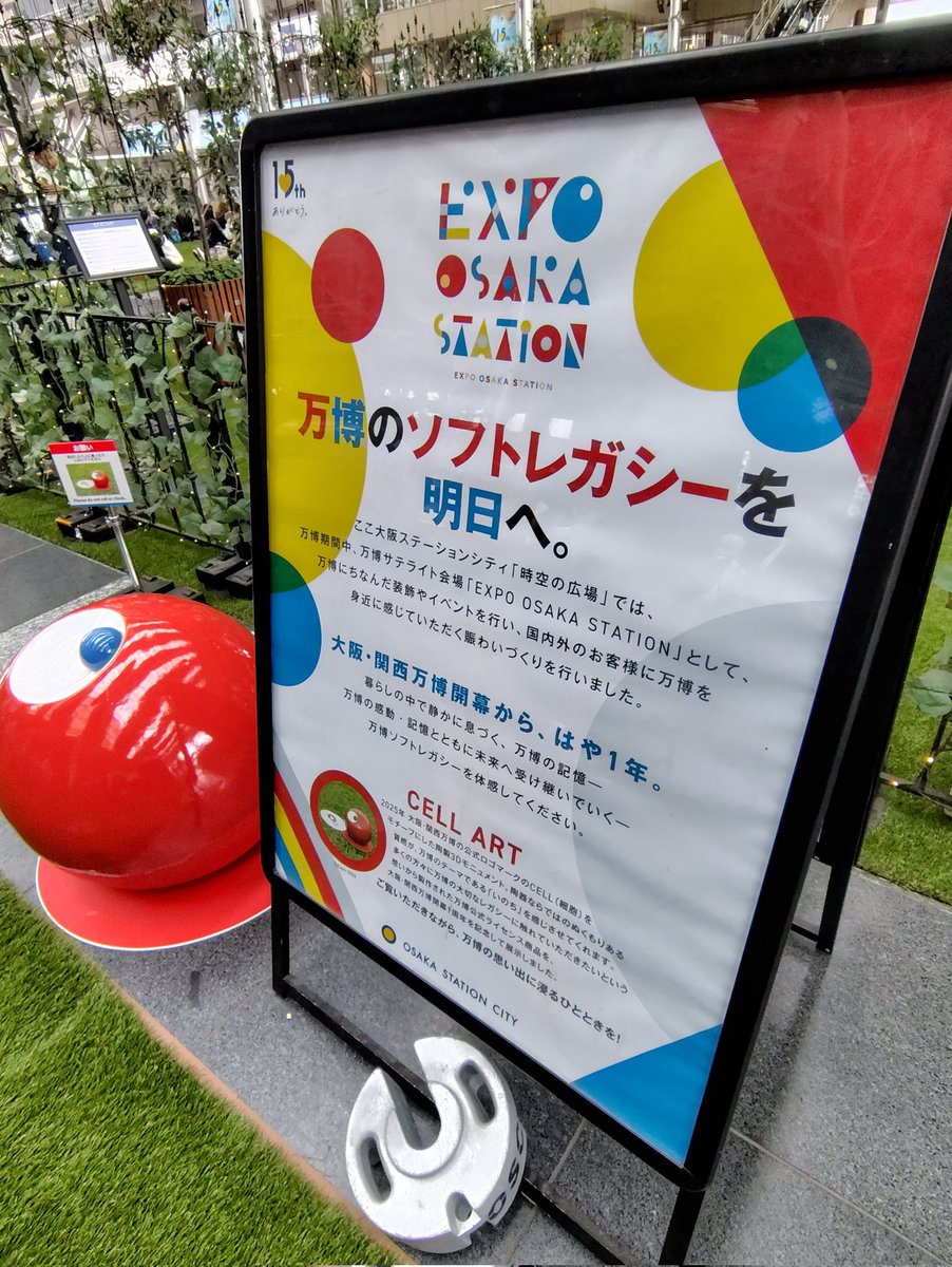 十六夜🦔 tweet media