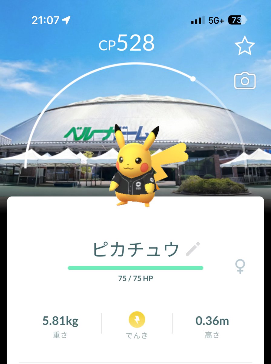 マル、、、 tweet media