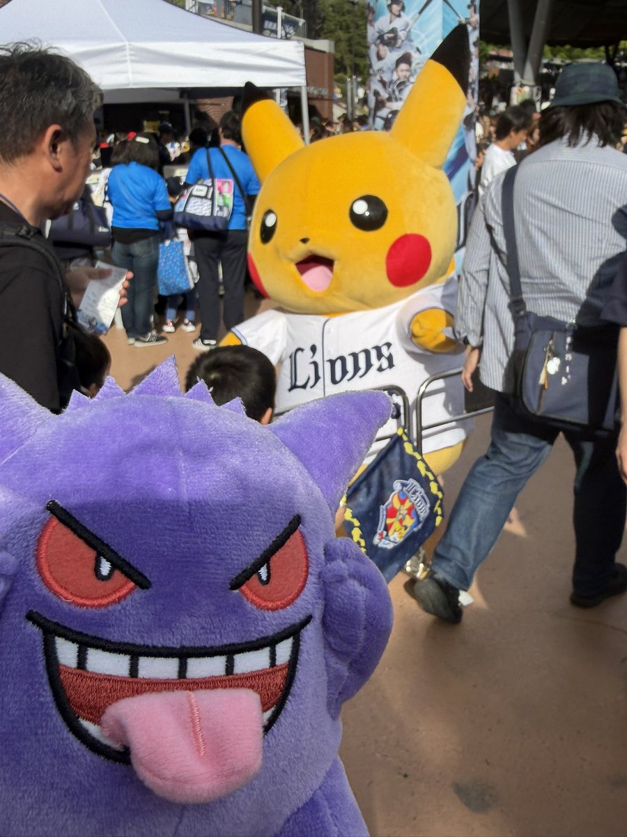 マル、、、 tweet media