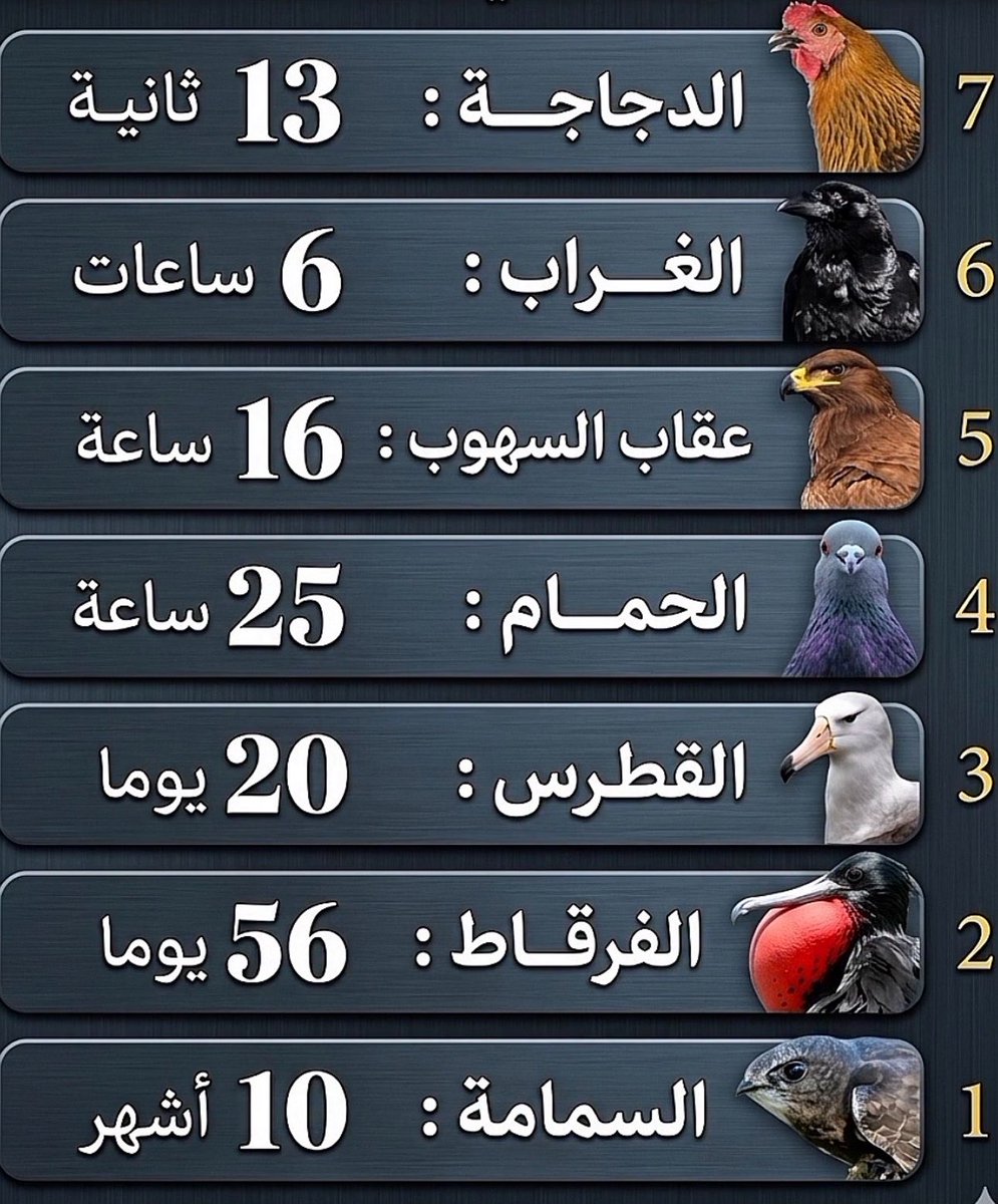 وليد tweet media