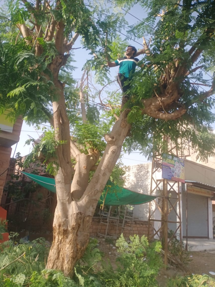 Jodhpur Vidyut Vitran Nigam Limited tweet media