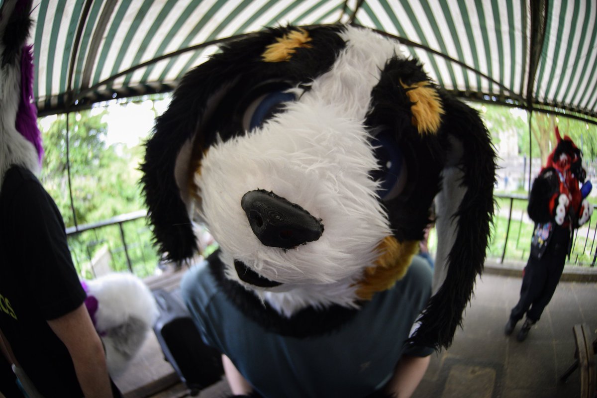 Woodythepupper tweet media