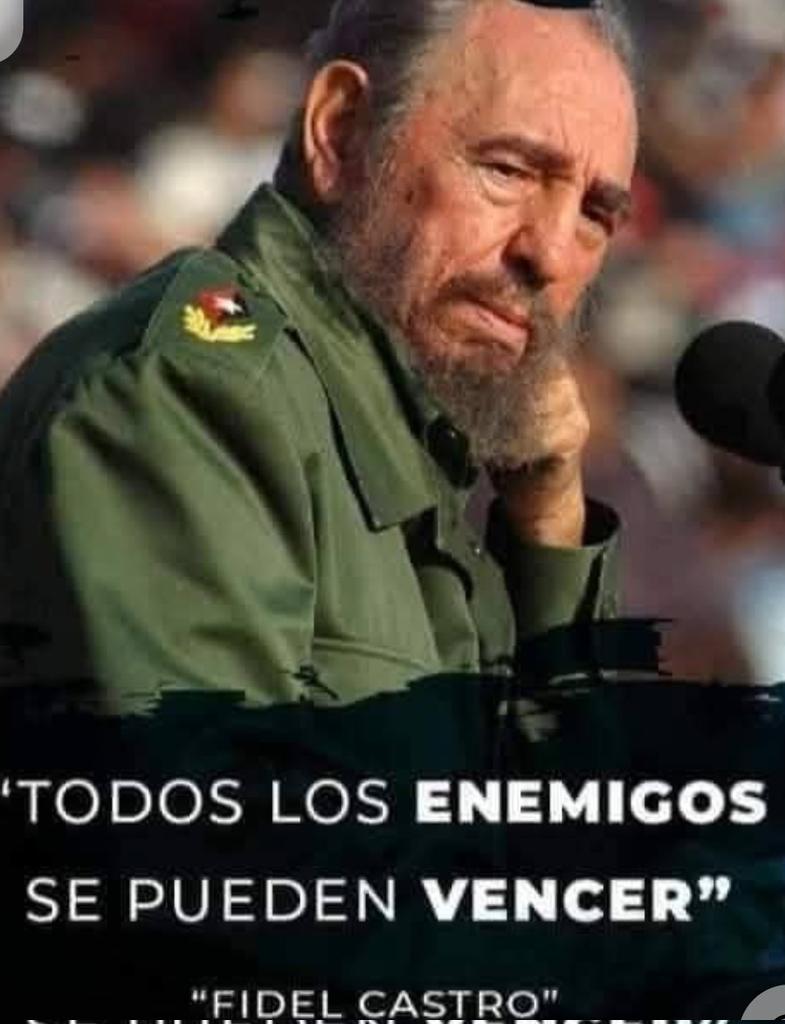 Fidelista 100% tweet media