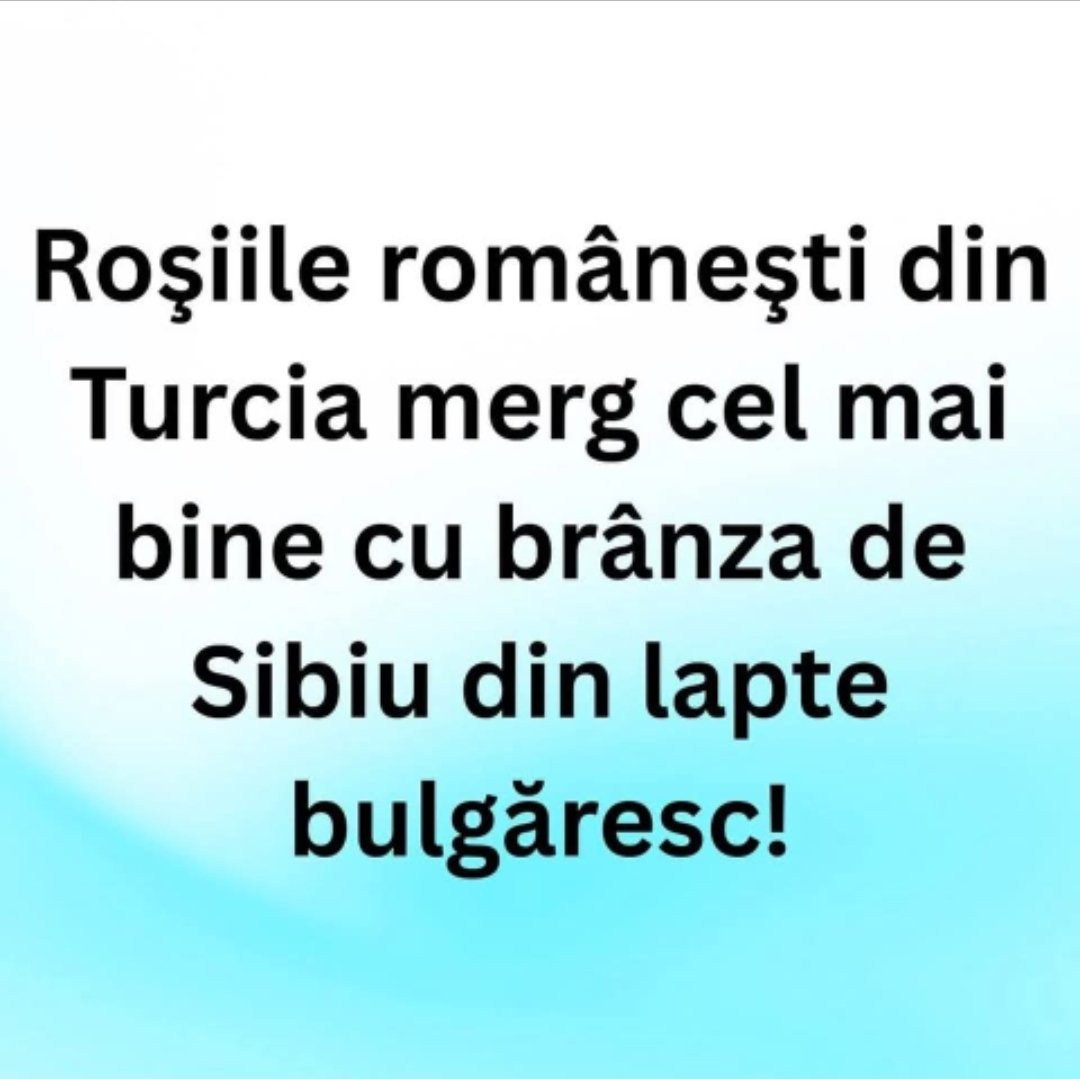 AriciPogonici tweet media
