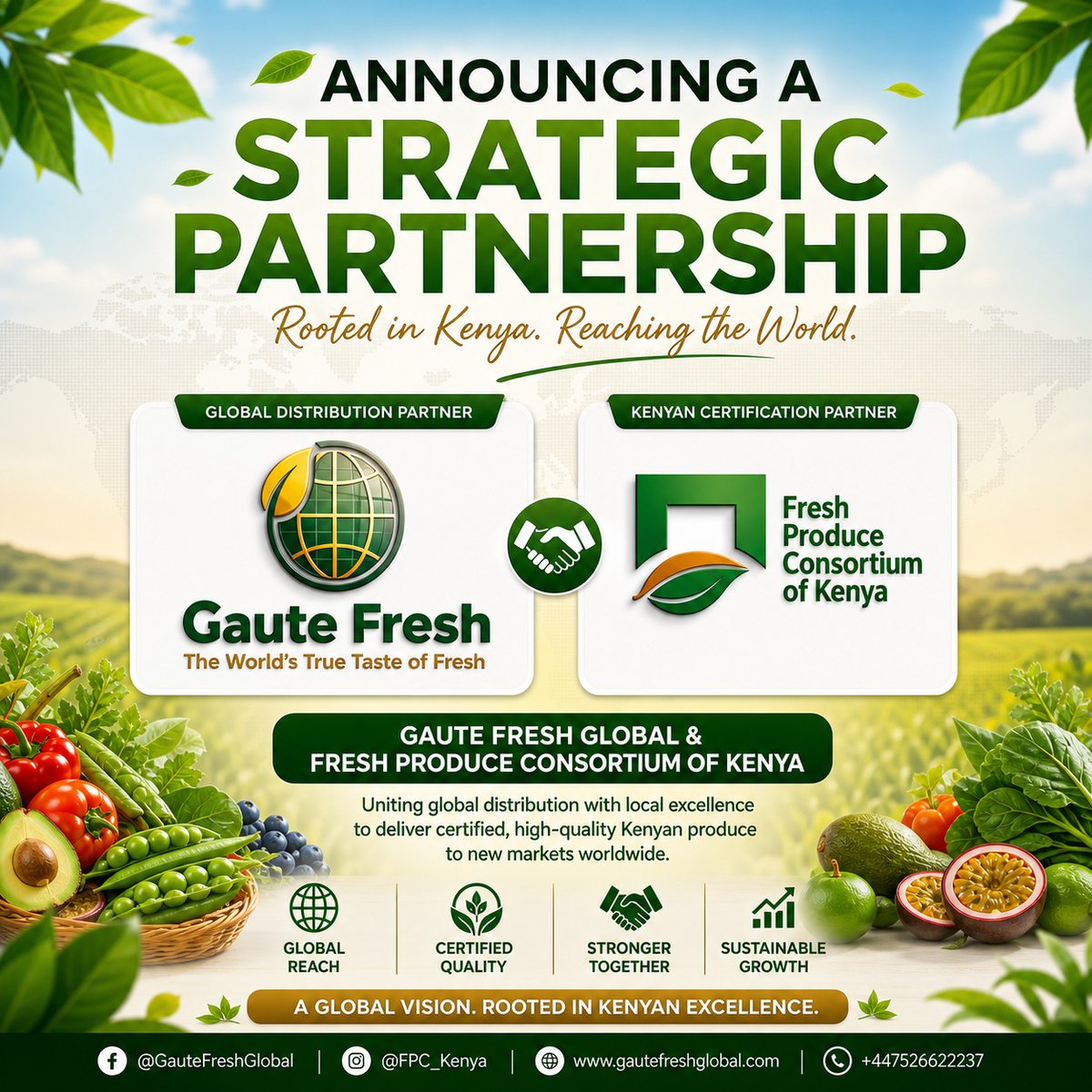 GauteFresh's tweet photo. Expanding Kenyan agriculture! ๐๐ฐ๐ช
โGaute Fresh Global is proud to partner with @FPCKenya to bring certified, high-quality Kenyan produce to the world stage.
โ๐ Global Reach
โ
Certified Quality
๐ Sustainable Growth
โRooted in Kenyan Excellence ๐ฐ๐ชโจ
โ#GauteFresh #FPCKenya https://t.co/53Sy7iV4N2