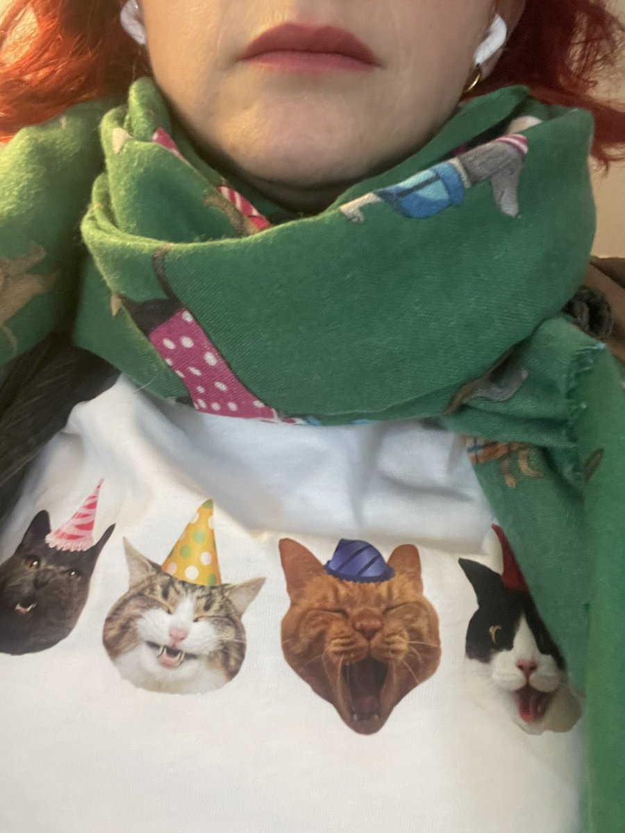 busrakucukoo's tweet photo. Bu kedi annesi de kim? Aa benmişim. https://t.co/b3wu0IVfQ0