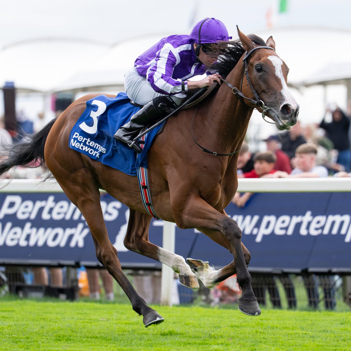 Racing Post tweet media