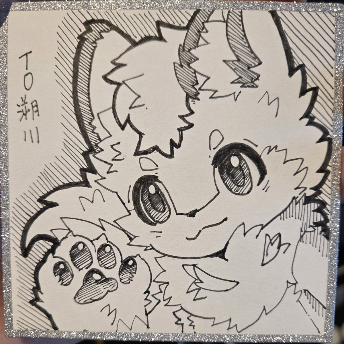 溯川🐾 tweet media