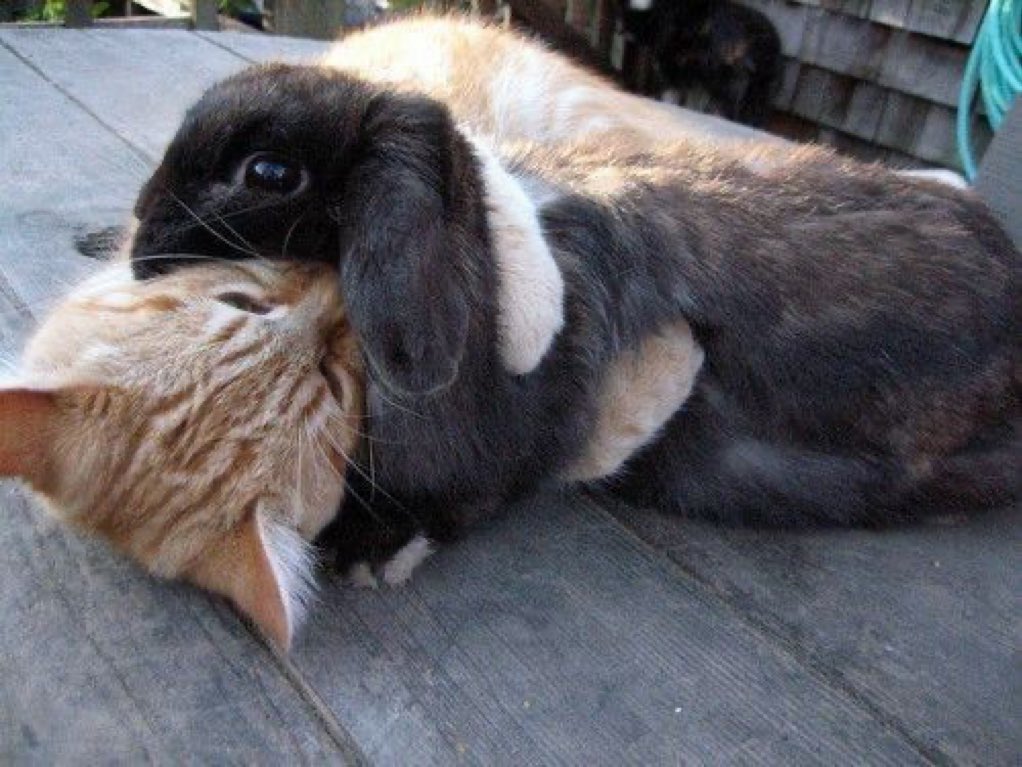 hug me it’s Monday