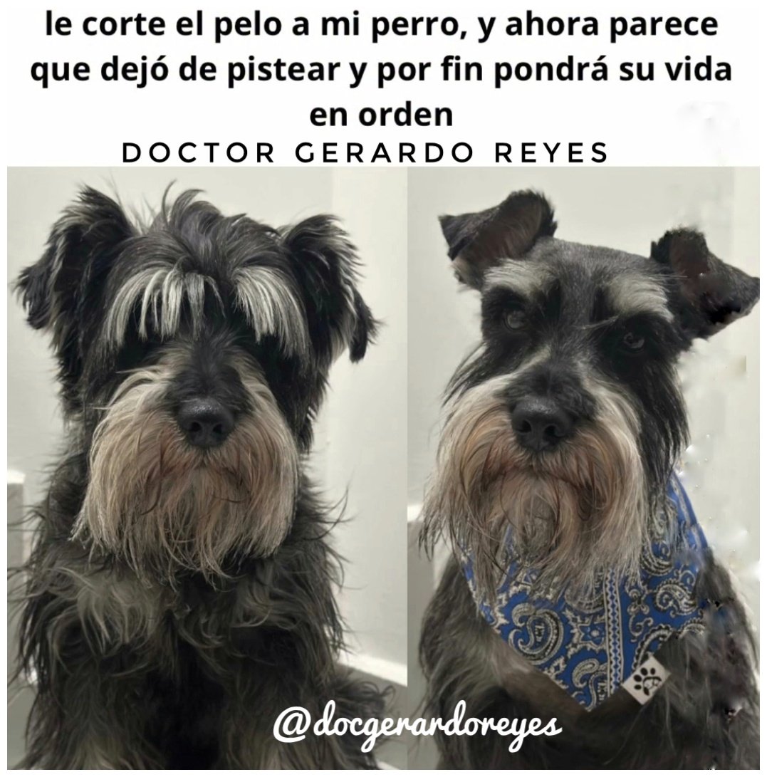 INICIA LA SEMANA CON UNA SONRISA ☺️