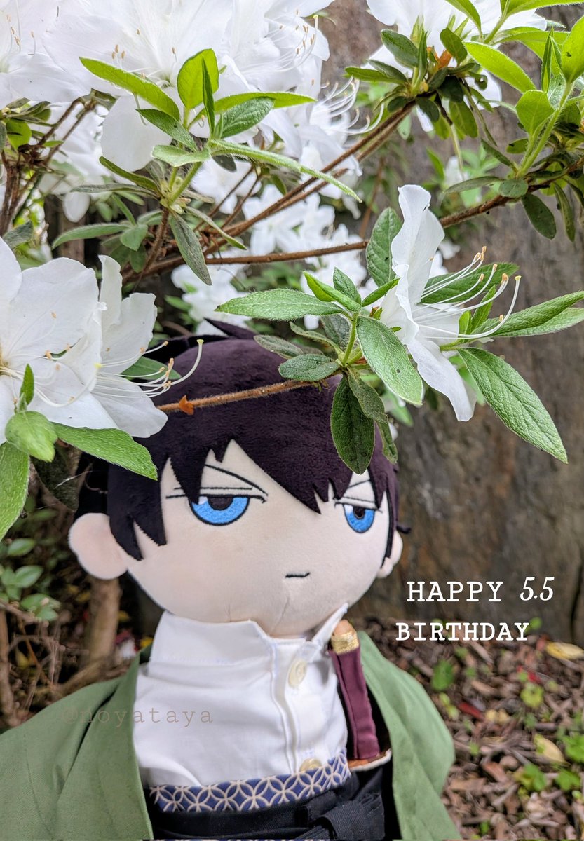 はる🌿 tweet media
