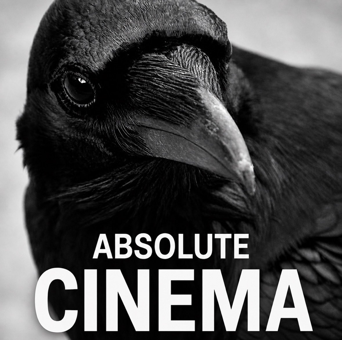 EarlyBird tweet media