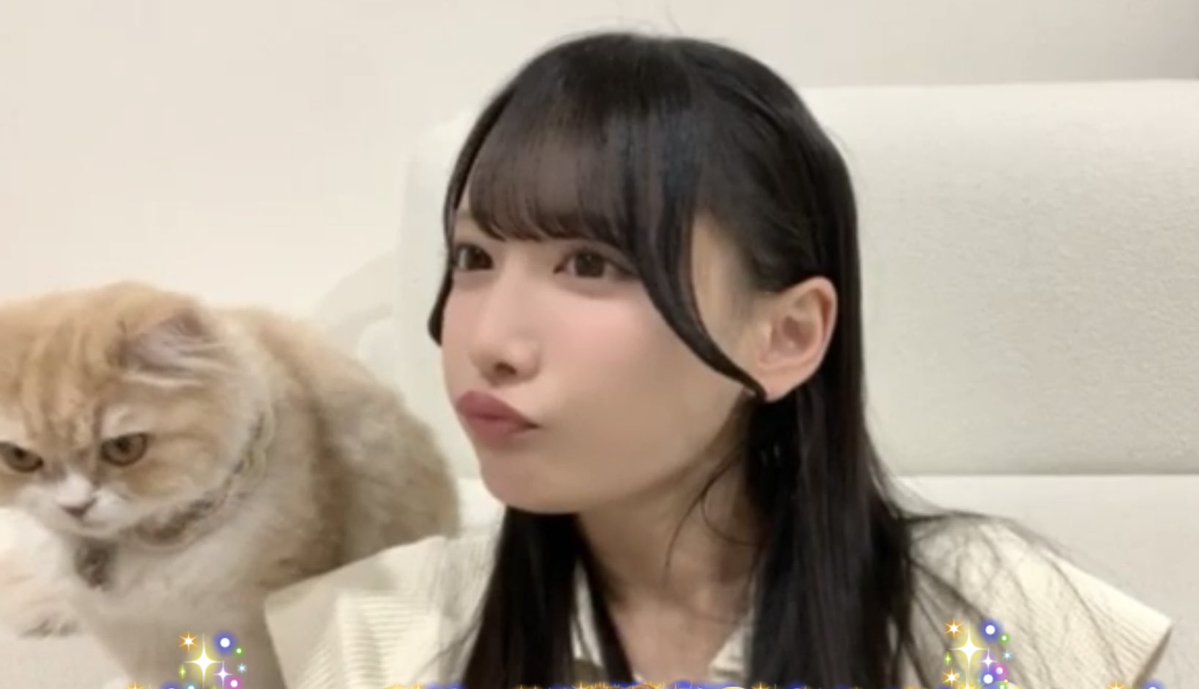 えい🐈🎀 tweet media