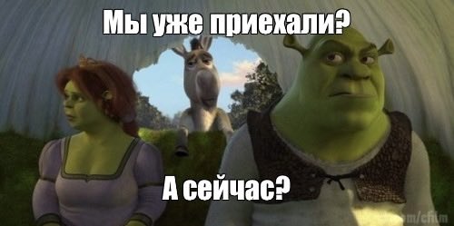 синица⁷ tweet media