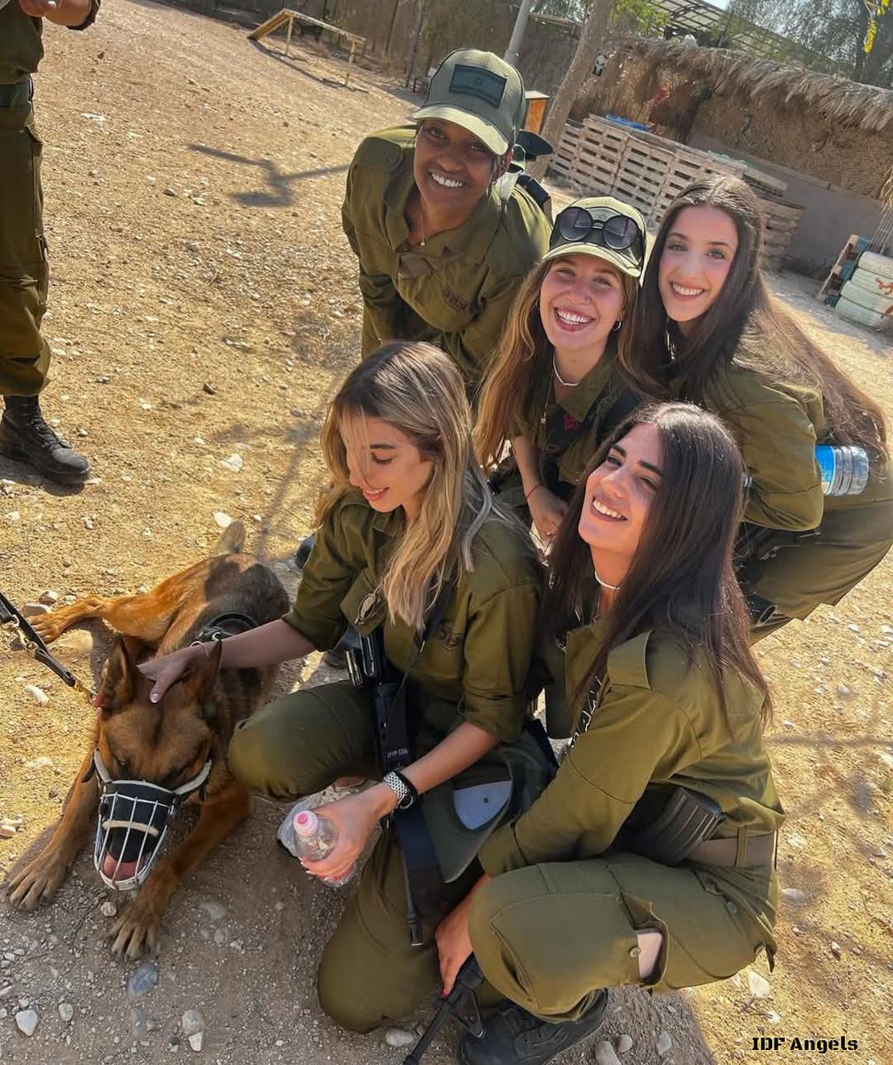 Israel Troops 🇮🇱 tweet media