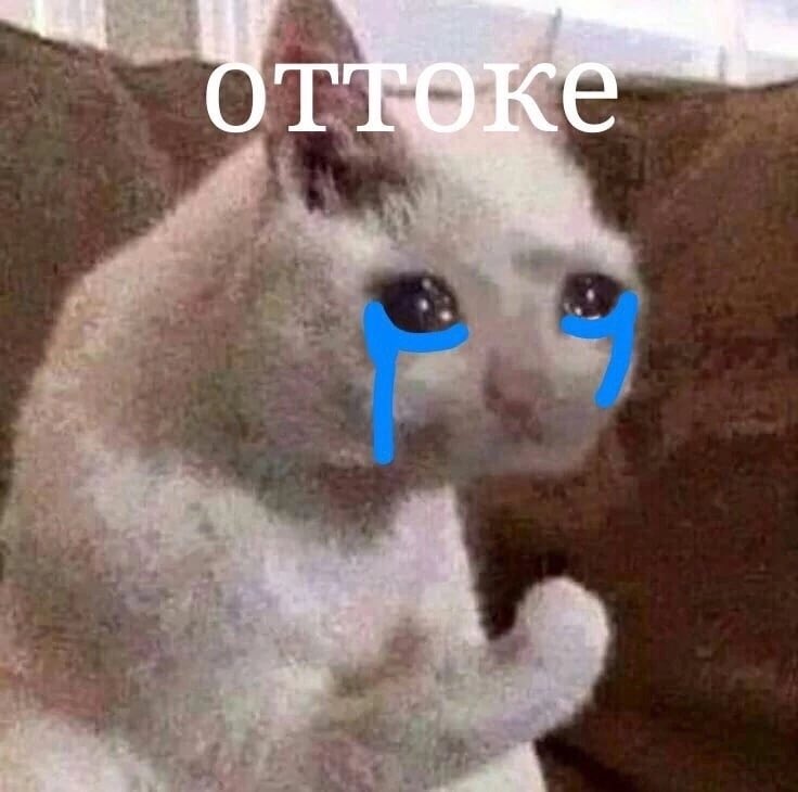 синица⁷ tweet media