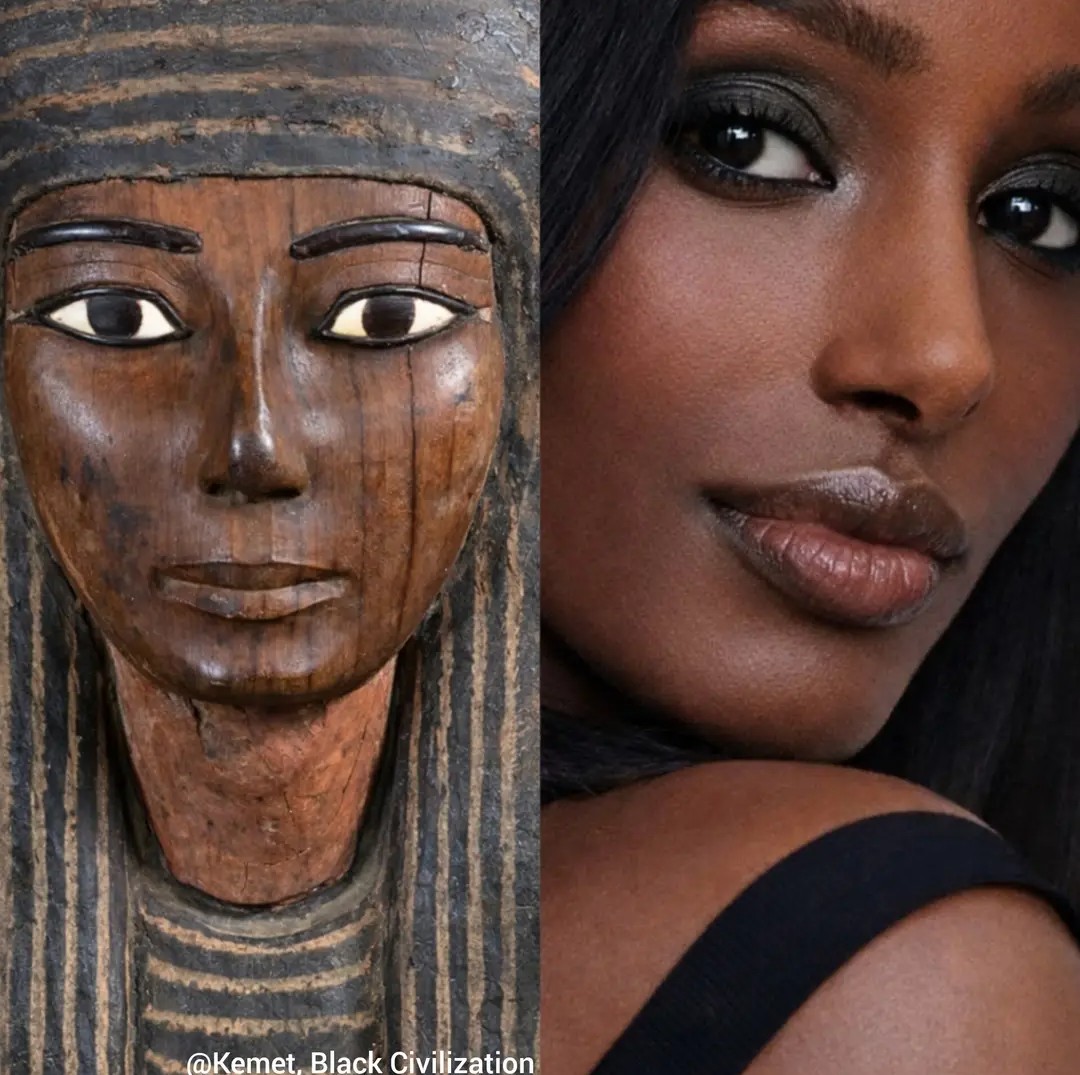 The African History School tweet media