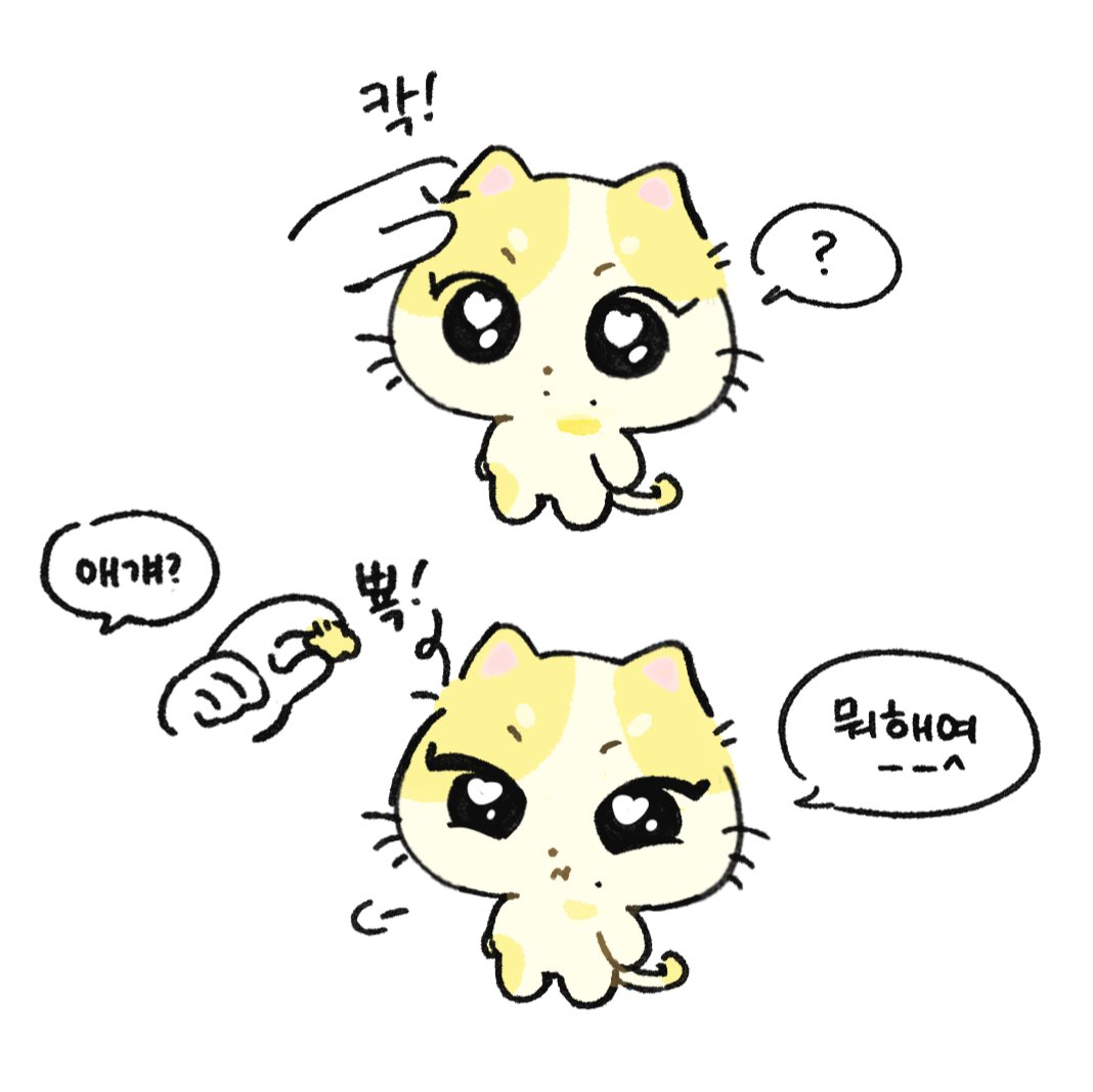 러4 tweet media