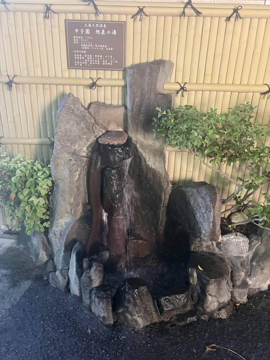がすぴ〜 tweet media