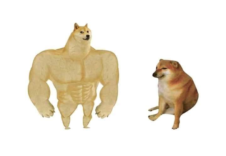 Snark After Dark tweet media