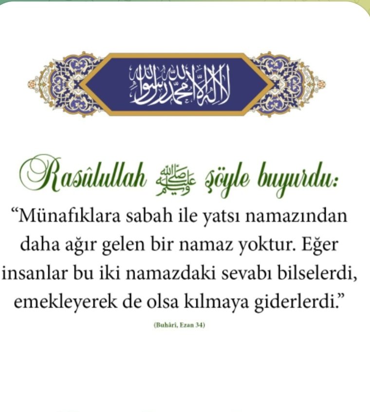Bay Z. Coskun tweet media