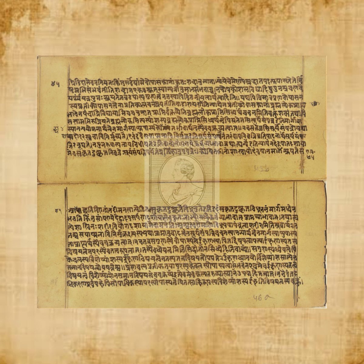 asiatic_society's tweet image. Manuscript of the Day: Vivadanirnaya
#kolkata #manuscript #photooftheday #Sanskrit #philosophy