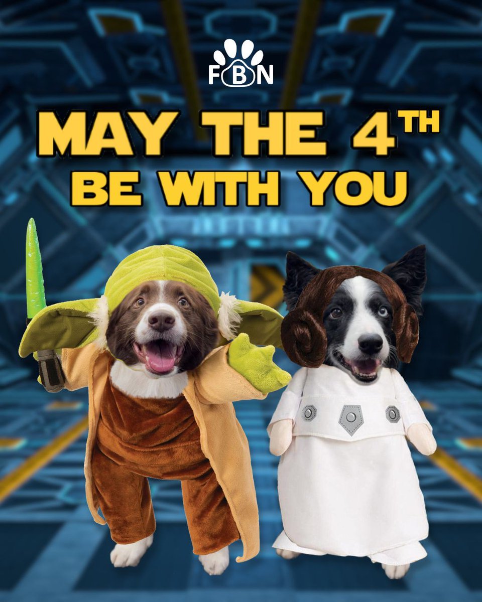 🌟 Happy Star Wars Day! May the 4th Be With You ✨

*No dogs were sent to a galaxy far, far away during the making of this post 🌌 

#StarWarsDay #Maythe4th