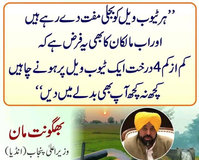 Ahmad Warraich tweet media
