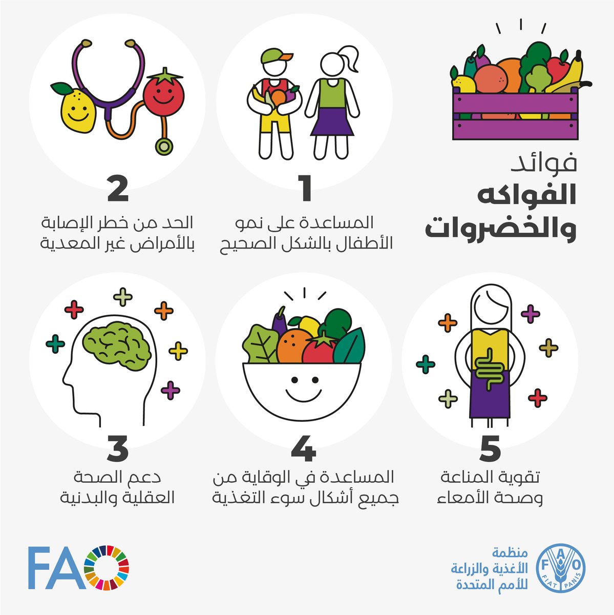 الفاو بالعربي tweet media