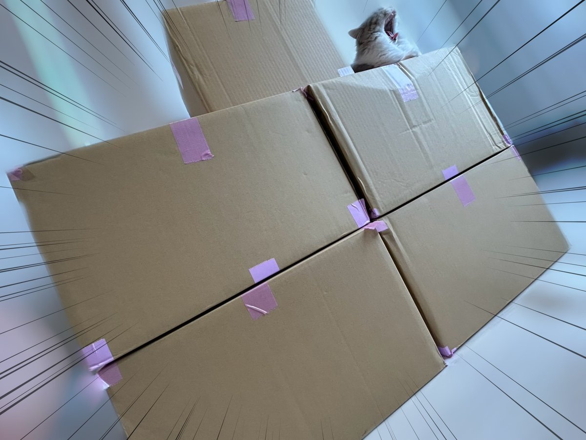 なごみらのプレゼント届いたよ！
特に何も伝えてなかったのにこんなに持ってきてくれたのかとびっくりした😳wありがとう〜！！配信で開封させてもらうね🎁🫶