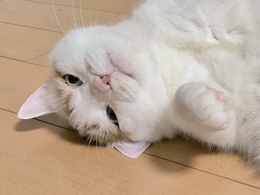 Σ(°꒫°๑=͟͟͞)➳♡ｽﾞｷｭ-ﾝ👈