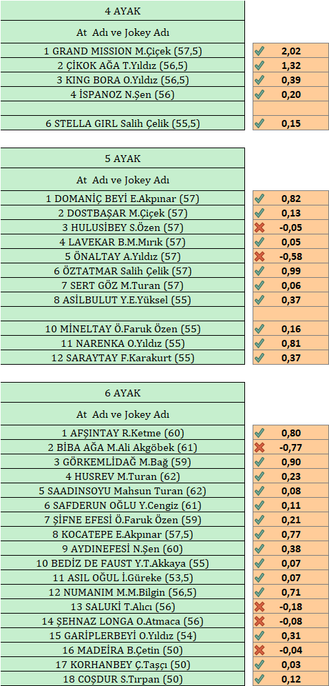 Yarisseverinsesi tweet media