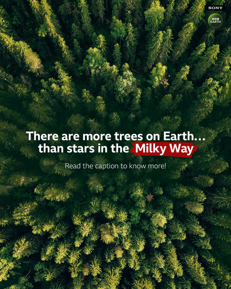 Sony BBC Earth tweet media