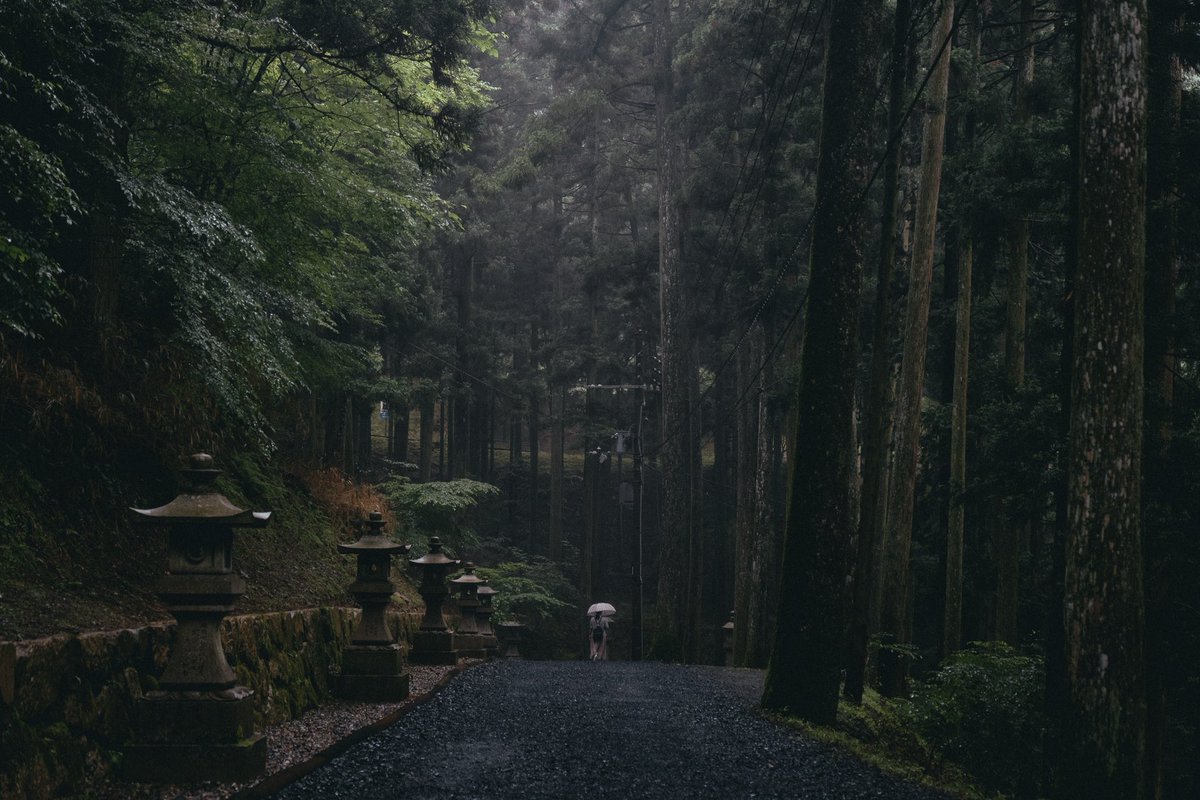 riki_shinagawa's tweet photo. In the mist-shrouded mountains https://t.co/pwmpAlhLnJ