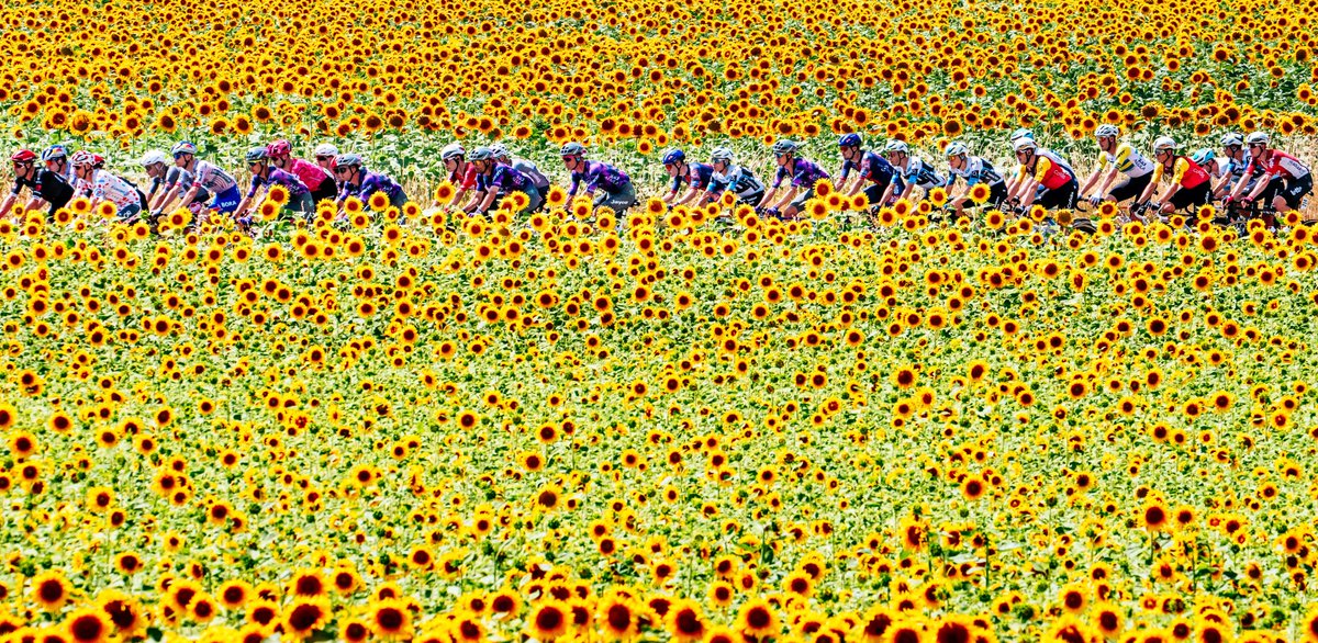 Tour de France™ tweet media
