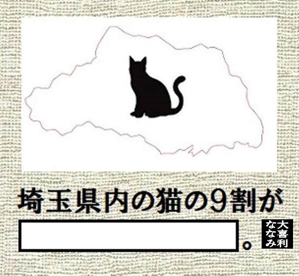 【大喜利】ななみ tweet media