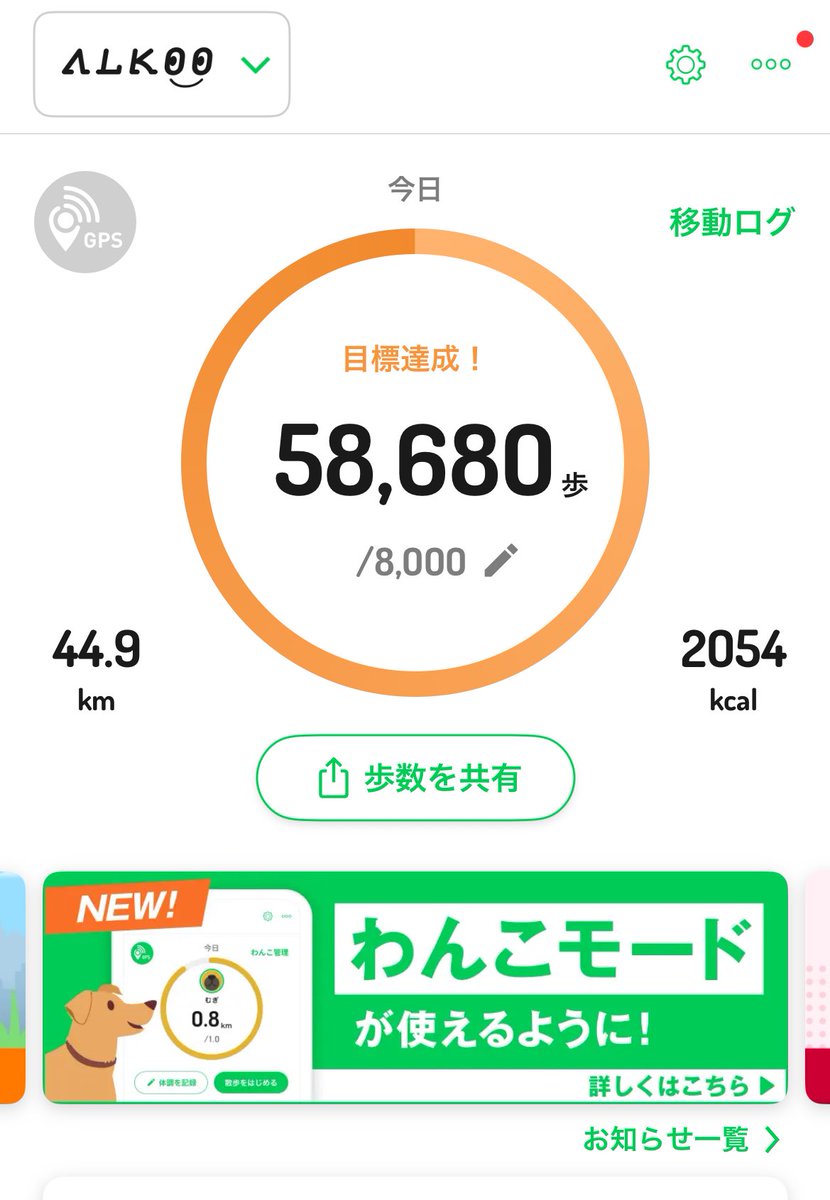 🍒するめ🍒 tweet media