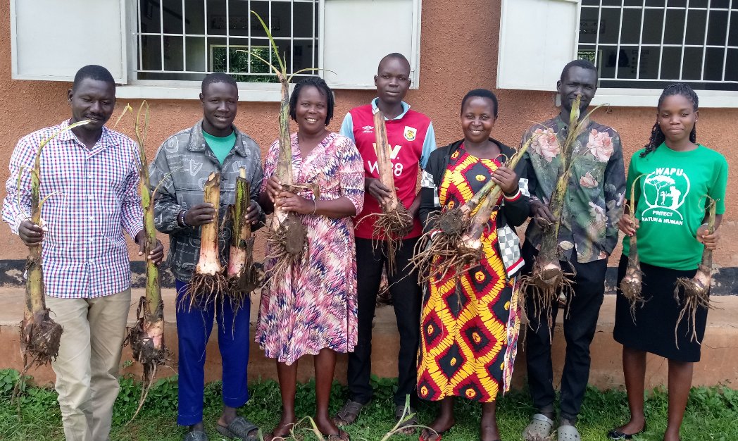 WAPU (WIDE AID PACIFEROUS UGANDA) tweet media