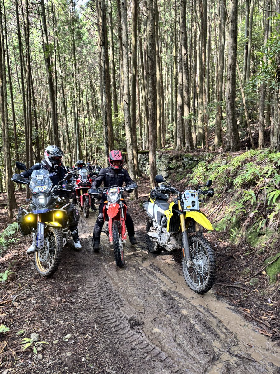 と゛らこ゛ん🟨DRZ4S tweet media