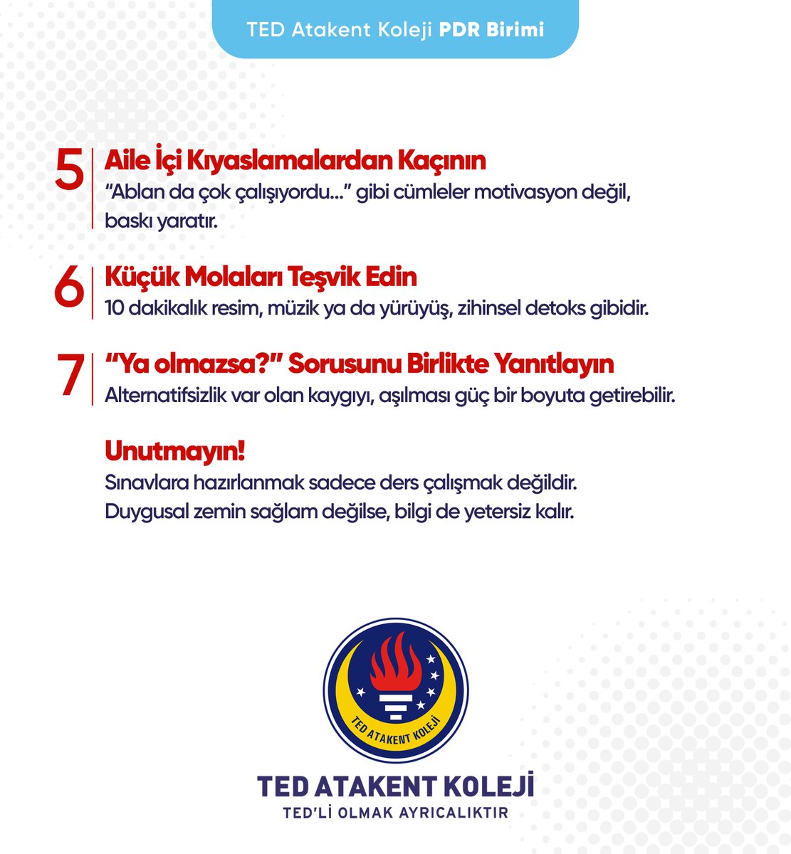 TED Atakent Koleji tweet media