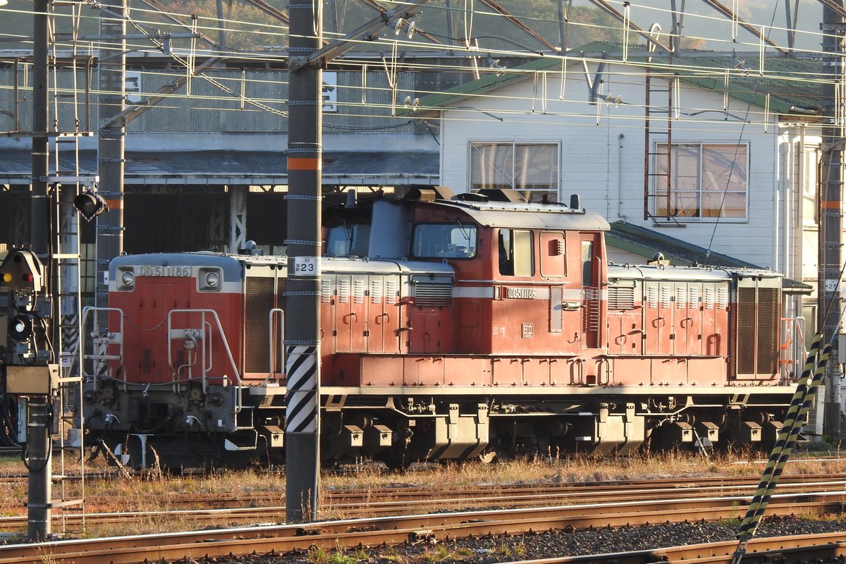 JapanNaraRailway tweet media